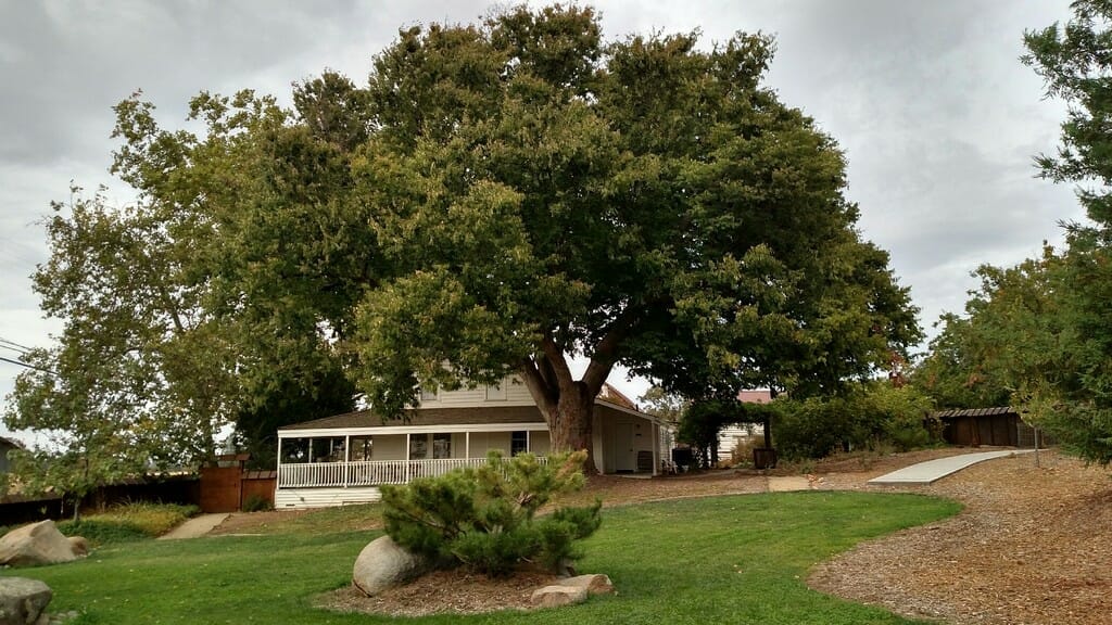 American River Conservancy - Wakamatsu Events