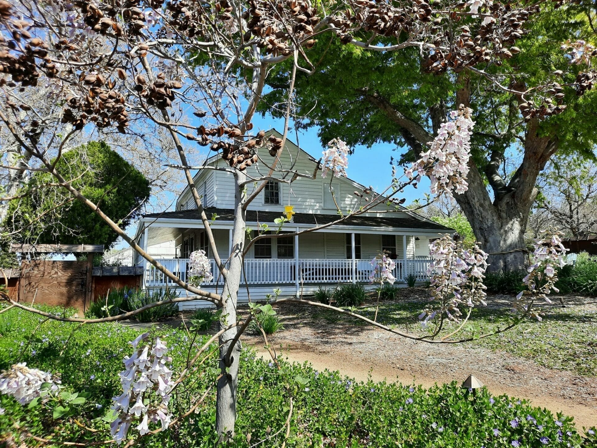 American River Conservancy Wakamatsu Events