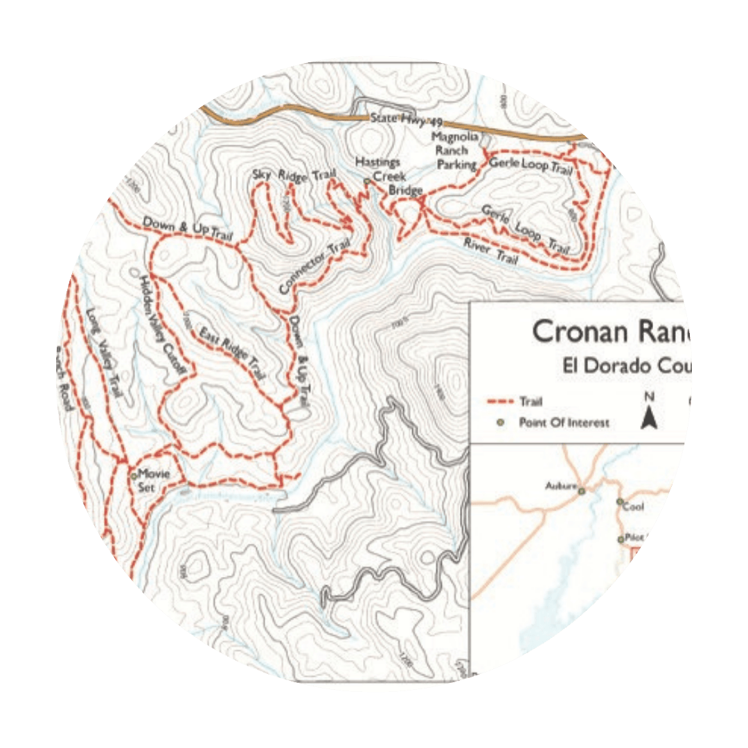 Untitled design (29)